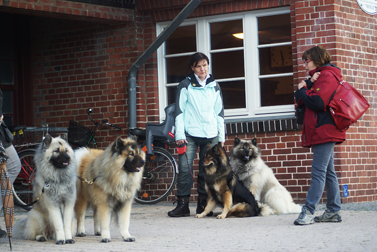 0054 Ruth und Christa vertieft im Gespraech.JPG - SONY DSC